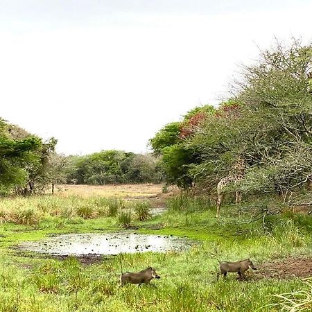 Hideaways Lazuli Bush Lodge, Hluhluwe Zewnętrze zdjęcie