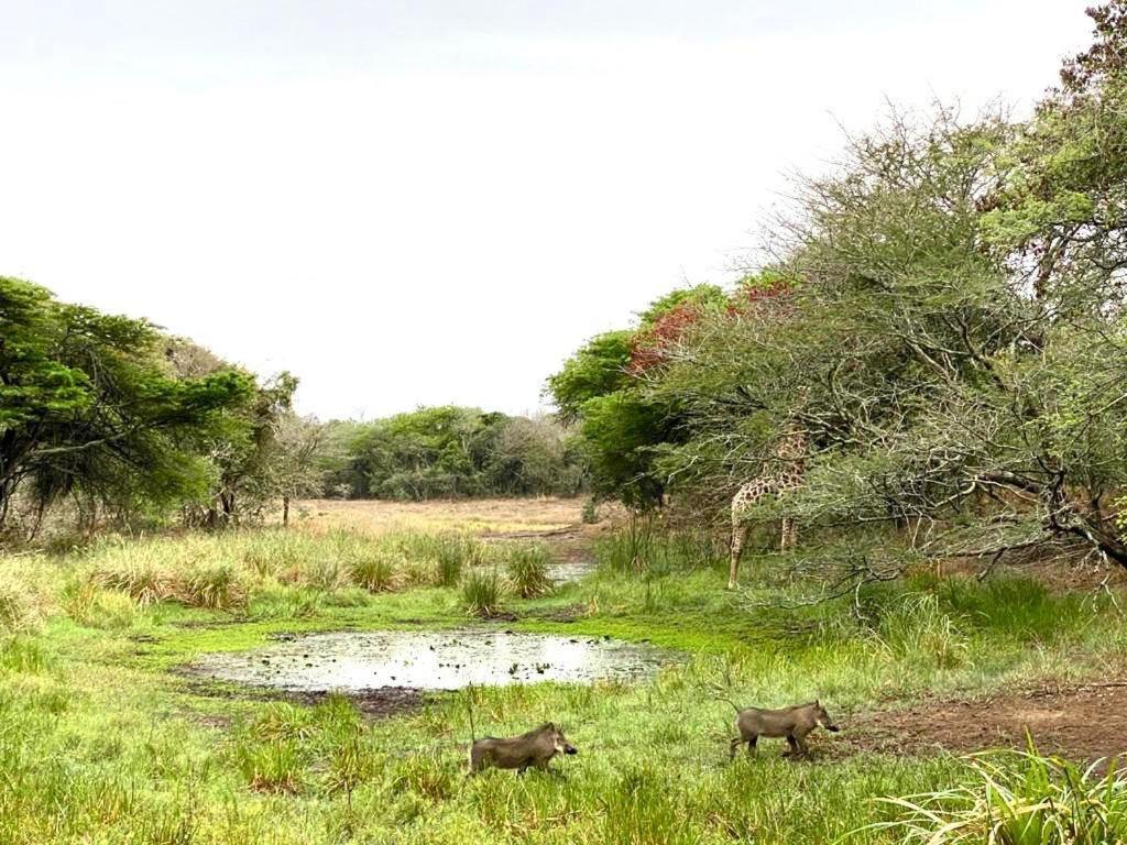 Hideaways Lazuli Bush Lodge, Hluhluwe Zewnętrze zdjęcie