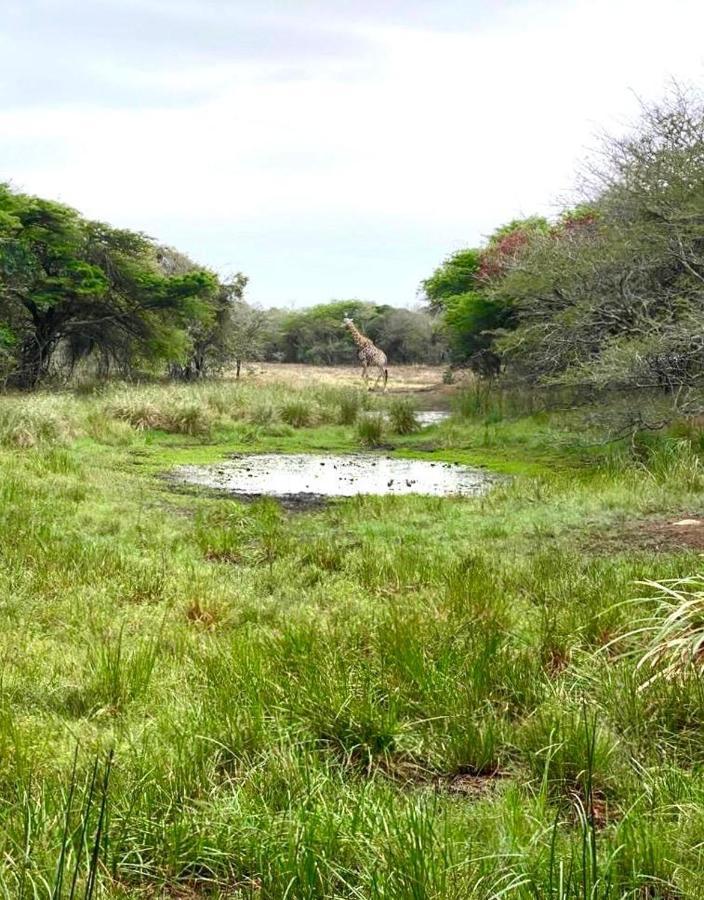 Hideaways Lazuli Bush Lodge, Hluhluwe Zewnętrze zdjęcie
