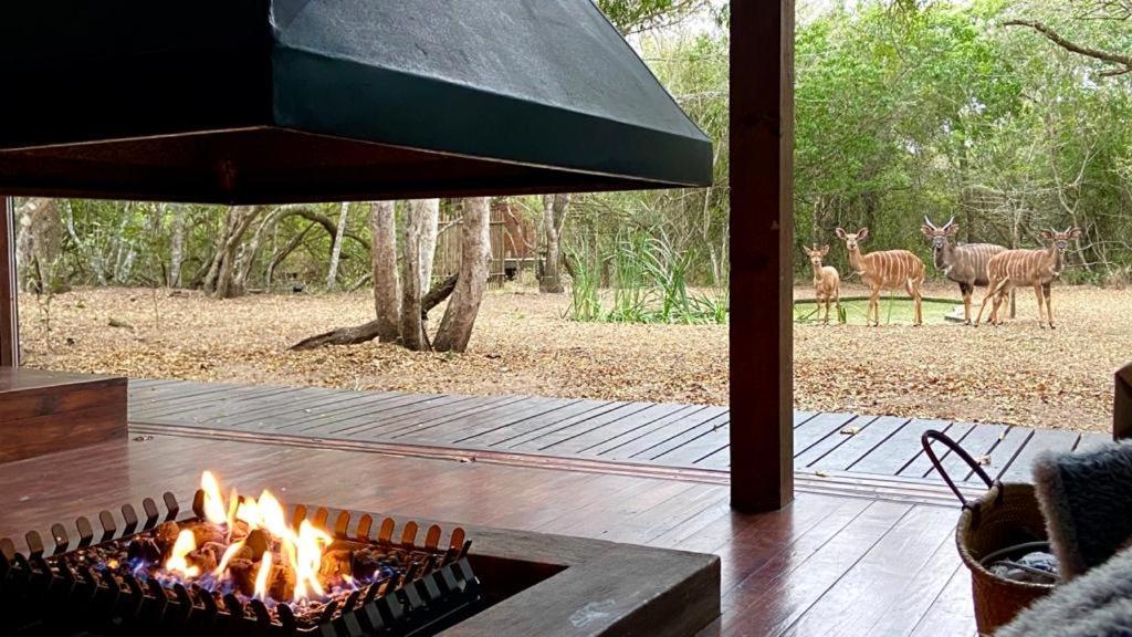 Hideaways Lazuli Bush Lodge, Hluhluwe Zewnętrze zdjęcie
